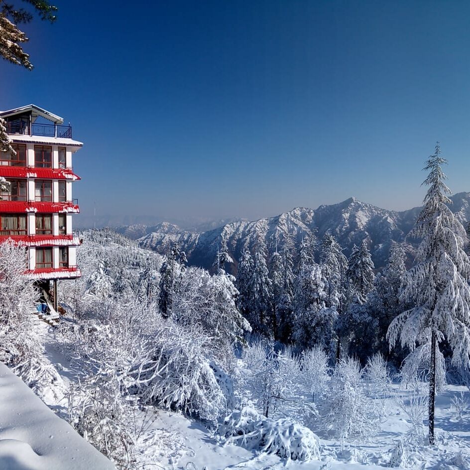 Hotel Savi Shallidrishya Shimla | Best Hotel in Mashobra